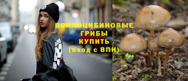 бошки Алексин