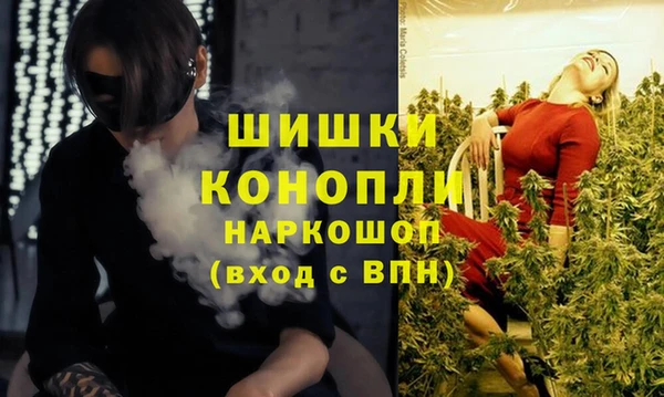 шишки Абинск
