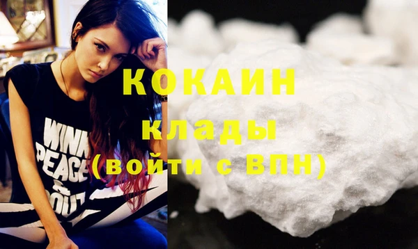 шишки Абинск