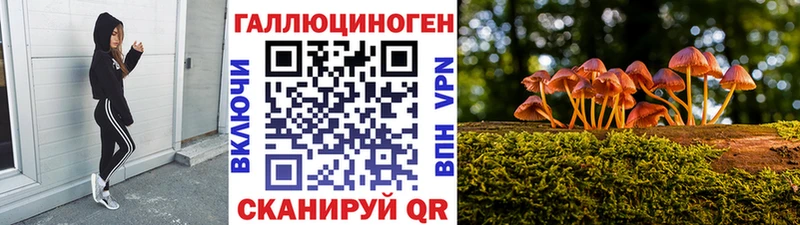 Галлюциногенные грибы ЛСД  где продают   Чулым 
